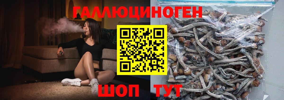 Галлюциногенные грибы Magic Shrooms Ярцево
