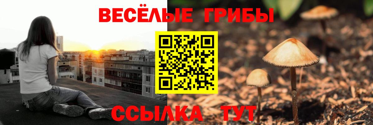 цены   Вход с VPN  Псилоцибиновые грибы Magic Shrooms  Ярцево  Галлюциногенные грибы Magic Shrooms 